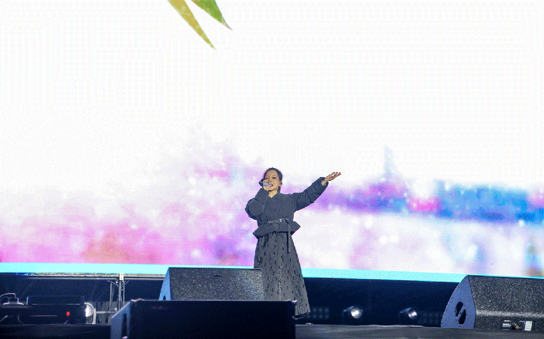 平陽體育中心群星演唱會！超萬人圍觀，現場火爆High唱！